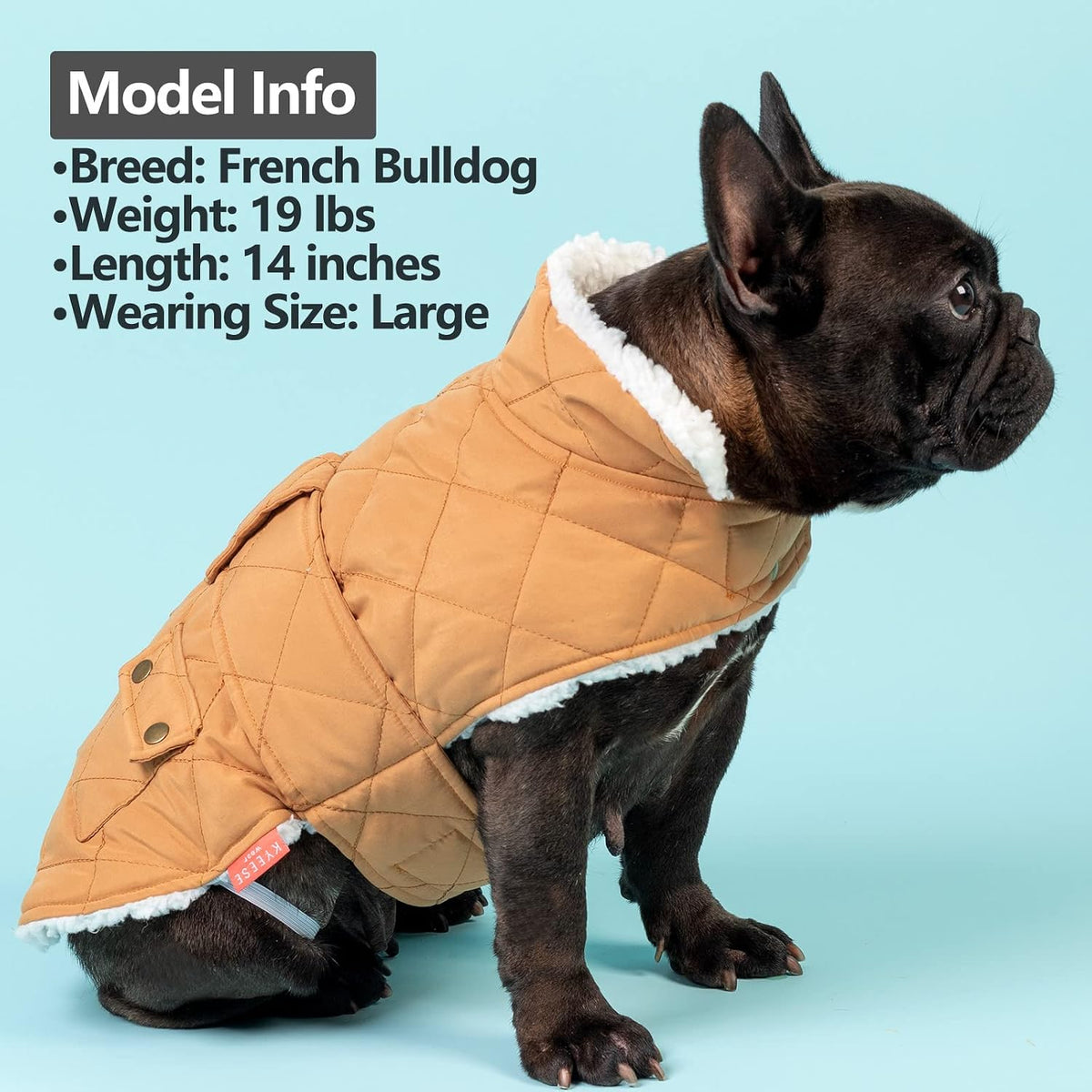 KYEESE Waterproof & Windproof Dog Coat for Small Dogs Puffer Jacket – Essentials for Dogs - Large / 08# Yellow - image 4