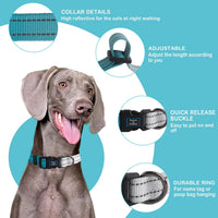 Roses&Poetry Reflective Dog Collar with Gradient Mistyrose - S / Teal - image 2