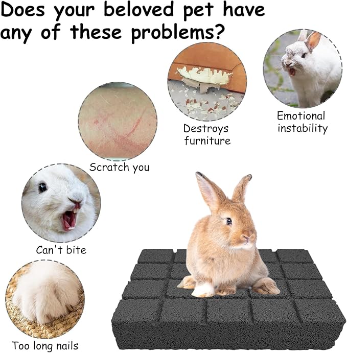 Hamiledyi 6PCS Rabbit Scratching Pads - Bunny Lava Grinding Claw Pads for Small Animals - Hamster, Gerbil, Chinchilla, Hedgehog, Guinea Pig Cage Accessories