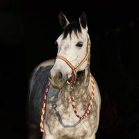 HORZE Adepto Adjustable Horse Halter | Soft, Durable Polyester - Coral Gold - Warmblood