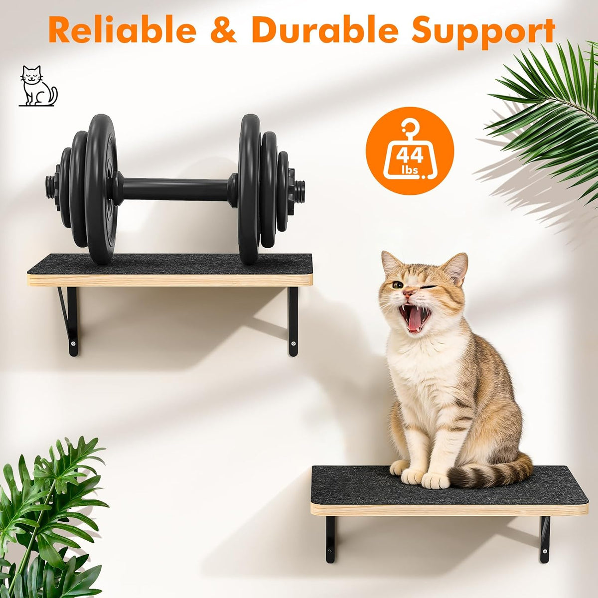 Cat Wall Shelves with 3 Steps - 2pcs Shelves - image 4