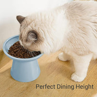 Extra Wide Elevated Ceramic 6.2" Shallow Cat Food Bowl – Essentials for Cats - Blue-Shallow - image 3
