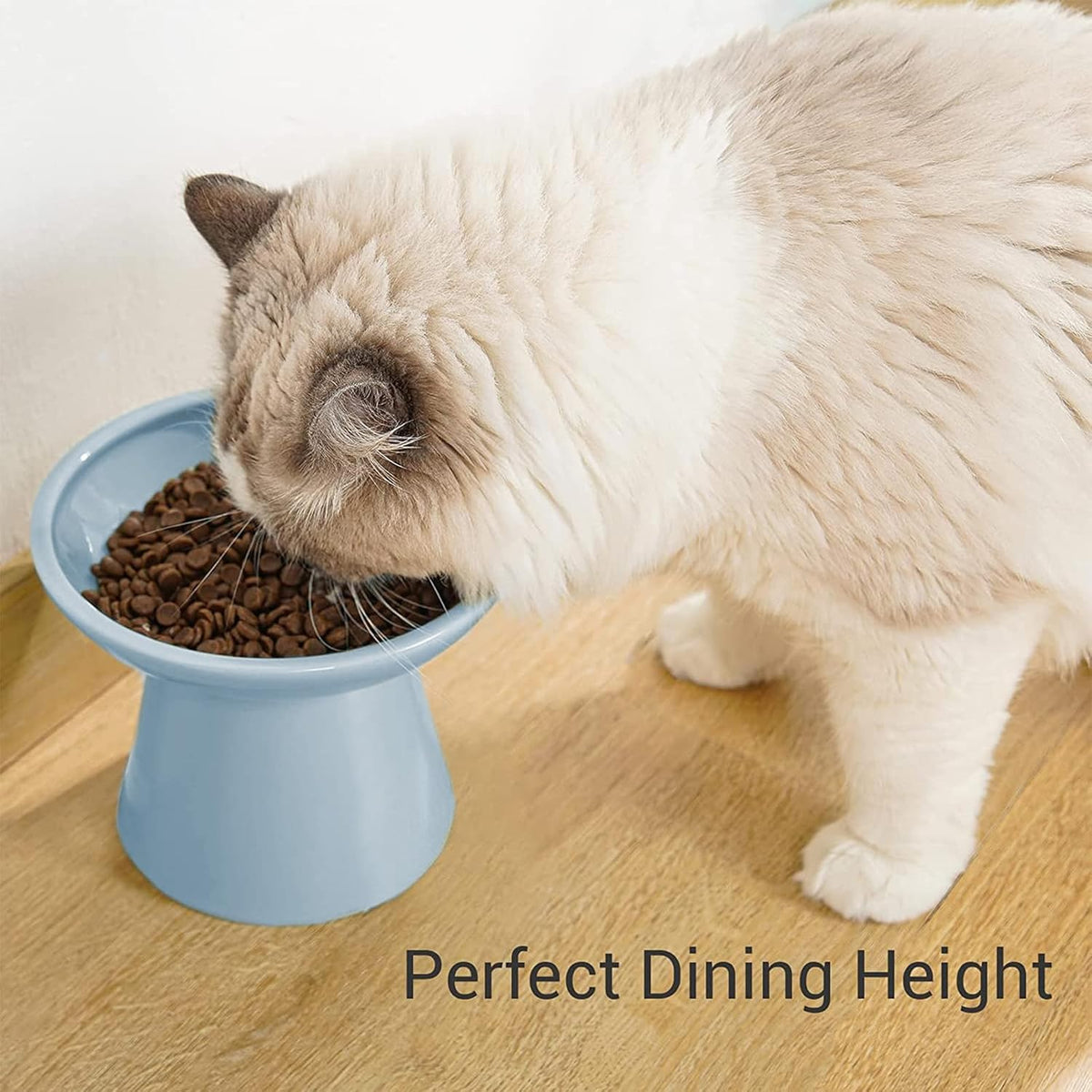 Extra Wide Elevated Ceramic 6.2" Shallow Cat Food Bowl – Essentials for Cats - Blue-Shallow - image 3