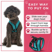 Gooby Comfort X Head-in Dog Harness, Choke-Free - Large Chest (17-22.5") / Turquoise - image 2