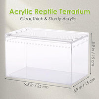 Acrylic Reptile Terrarium Enclosure 9.8" x 5.9" x 5.9" Magnetic Tarantula Breeding Box Transparent Insect Habitat for Jumping Spider Hermit Crab Lizard Sling Isopods Horned Frog Snake Gecko