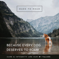 MADE TO ROAM Premium Explorer Harness - California Horizon / Size 7 - image 3
