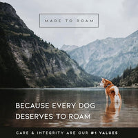 MADE TO ROAM Premium Explorer Harness - Y-Shaped Dog Harness with Adjustable Durable Nylon, Soft Padding, Metal Buckles and Leather Handle for Small, Medium, Large Dogs (Carolina Blooms, Size 2)