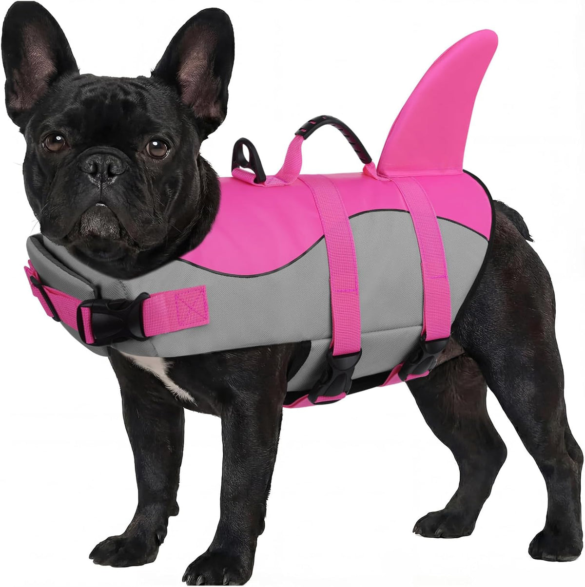ASENKU Dog Life Jacket, Pet Safety Vest for Swimming & Boating - Medium / Shark Pink