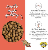 Dr. Elsey'S Cleanprotein Salmon Formula Dry Cat Food, 2 Pound (Pack of 1)