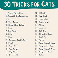 The Click Crusade (Cat Training Card Game Guide to Clicker Training for Cats for Teaching Tricks, Improving Communication and Bonding with Your Kitten (Clicker not Included)