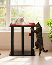 Modern Cat Tree for Large Cats, Full Sisal Cat Scratching Post – Essentials for Cats - Black&Red / 22"L x 15.7"W x 26.7"H - image 2