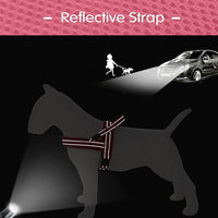 Didog No Pull Dog Harness with Soft Mesh Padded,Reflective & Quick Fit Light Weight Dog Strap Vest Harness,Easy for Walking Training (XS:Chest 15-18", Mesh-Hot Pink)