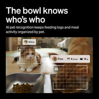 PETLIBRO Automatic Cat Feeder for 2 Cats - 5l dual bowl - image 3