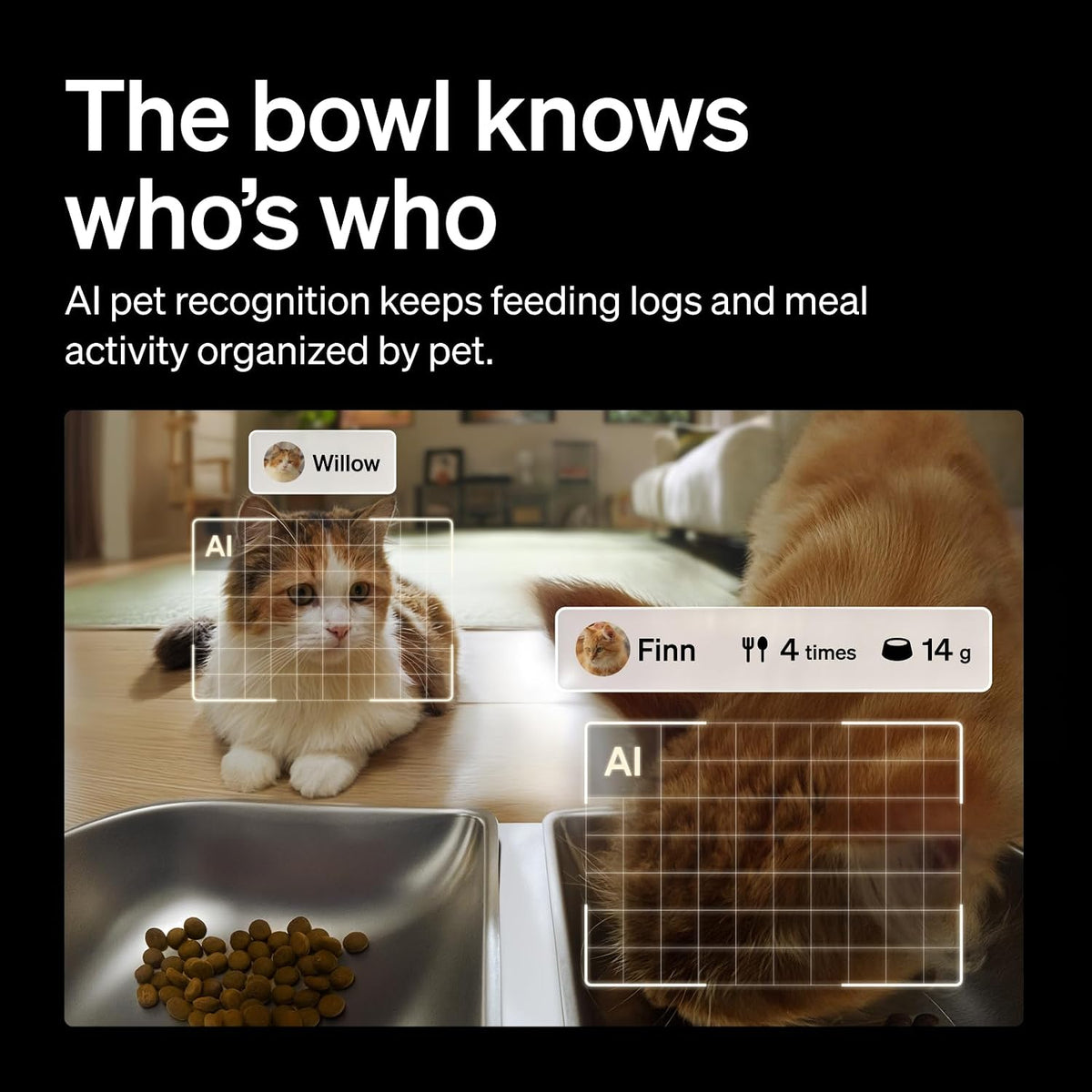 PETLIBRO Automatic Cat Feeder for 2 Cats - 5l dual bowl - image 3