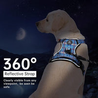 IVY&LANE No Pull Dog Harness with Leash Set, Reflective No Choke Pet Vest,Adjustable Oxford Dog Vest Harness with Easy Control Handle for Small Dogs (Checkered Blue,S)