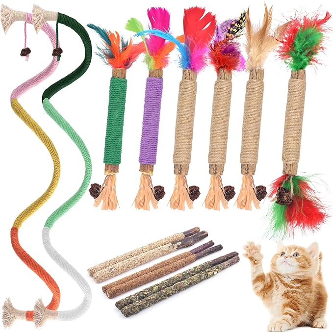 TINDTOP Cat Chew Toys, 12 Pack Silvervine Chew Sticks with 2 Pack Chew Ropes for Kittens Teeth Cleaning, Increase Appetite, Aggressive Chewers Cat Dental Toy