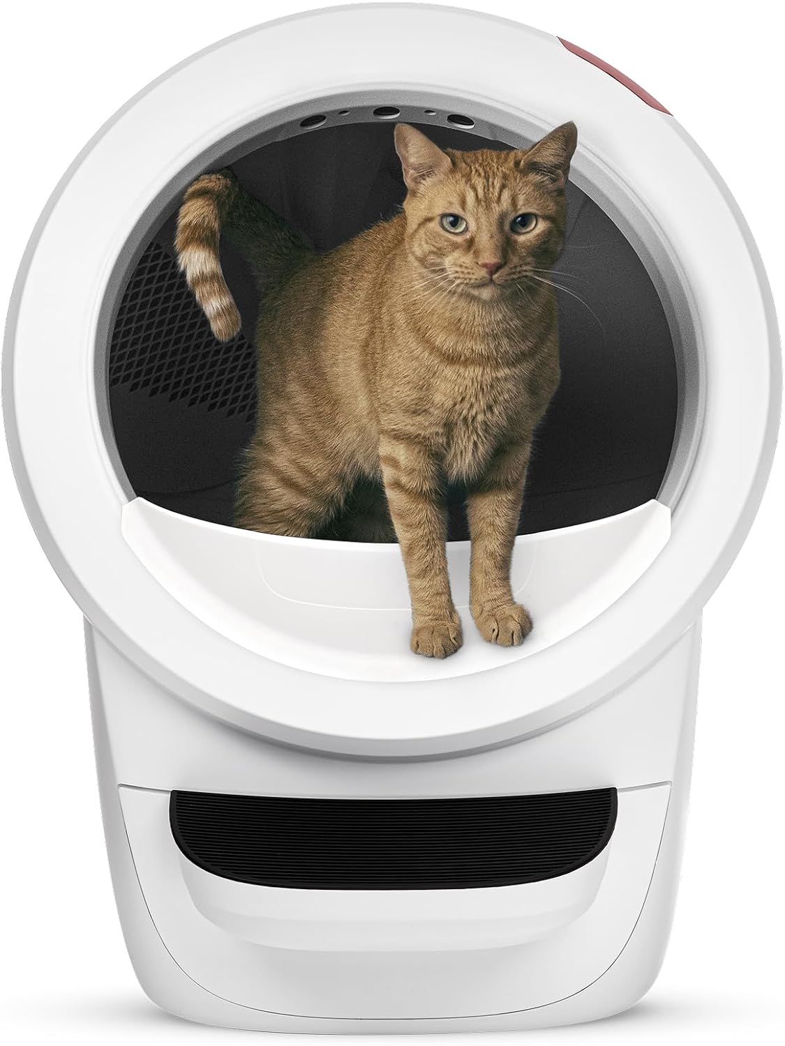 Whisker Litter-Robot 4 Supply & Accessory Bundle, Automatic - White / Robot Only