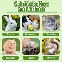 Abizoo Freeze Dried Brussels Sprouts Rabbit and Hamster Chew Treats Resealable Jar for Hamsters Bunny Guinea Pigs Groundhogs Natural Fiber Vitamin Snacks