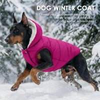 Dog Winter Coat,Warm Fleece Lined Dog Jacket with Leash Hole & Hood – Essentials for Dogs - Pink / X-Small - image 4