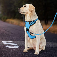 IVY&LANE No Pull Dog Harness for Medium Dogs - Blue / Large - image 4