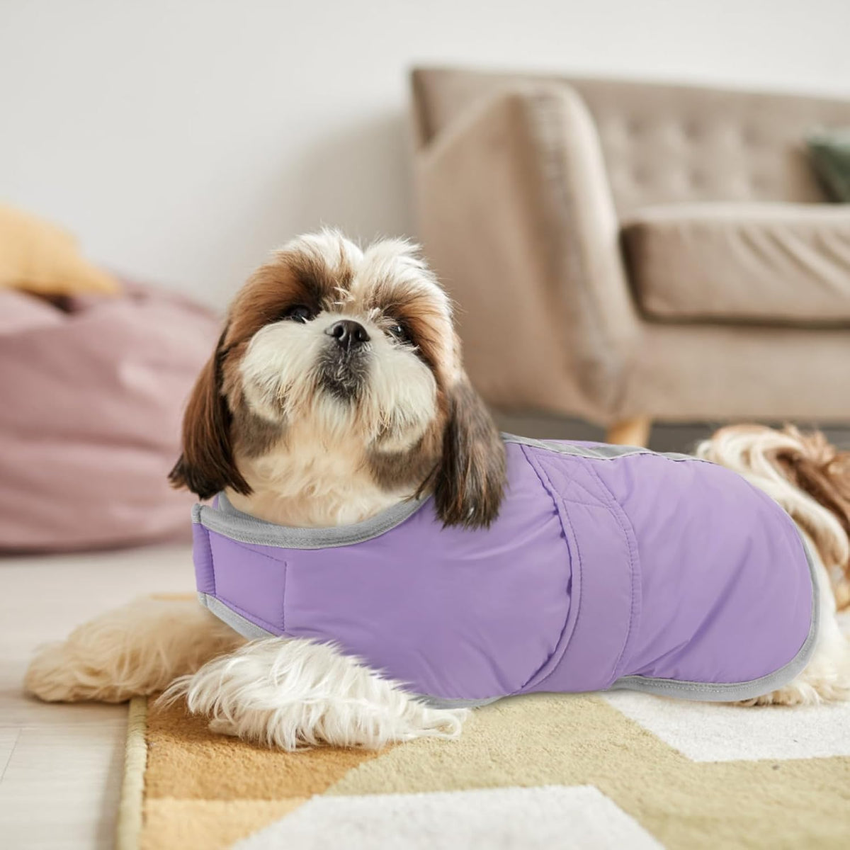 Queenmore Cold Weather Dog Coats Loft Reversible Winter Fleece Dog - XX-Large / Light Purple - image 3