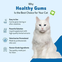 Pet Wellbeing - Healthy Gums for Cats - Natural Support for for Healthy Gums, Teeth and Breath in Felines - 2oz (59ml)