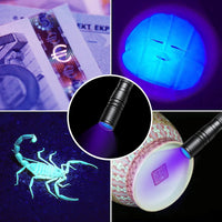 UV Flashlight 395nm Zoomable Black Light Lamp Ultraviolet Lights – Essentials for Dogs - 1 Pcs-zoomable Penlight Flashlight - image 2