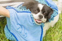 Tuff Pupper Quick Dry Towel for Dogs - Blue - image 4