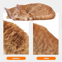 Cat Steam Brushes for Shedding, 4 in 1 Rechargeable Steam Cat Brush for Indoor Cats & Dogs, Grooming Comb with Spray