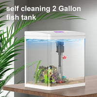 2 Gallon Betta Fish Tank Starter Kit, Self-Cleaning Aquarium with Built-in Filter and LED Light