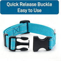 Dog Collar for Small Medium Dogs with Buckle - Sky Blue / Small - image 4