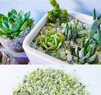 7lb Jade Bean Pebbles,1/4 Inch Cactus Bonsai DIY Rocks, Natural Succulent Rock and River Rocks Decorative for Aquariums, Vases, Terrarium, Outdoor Gardening, Top Dressing for Potted Plants