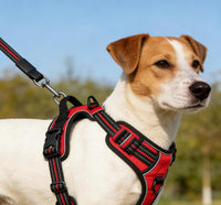 Blue No-Pull Dog Harness with 2 Leash Clips，Soft Padded Vest - Medium / Red - image 4