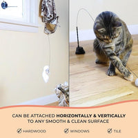 Interactive Catnip Bird Toy Set, Interactive Cat Toys for Indoor Cats, Cat Feather Toy, Suction Cup, Weighted Base, 5 Replacement Birds, Feathers & Bells, Realistic Bird Impression