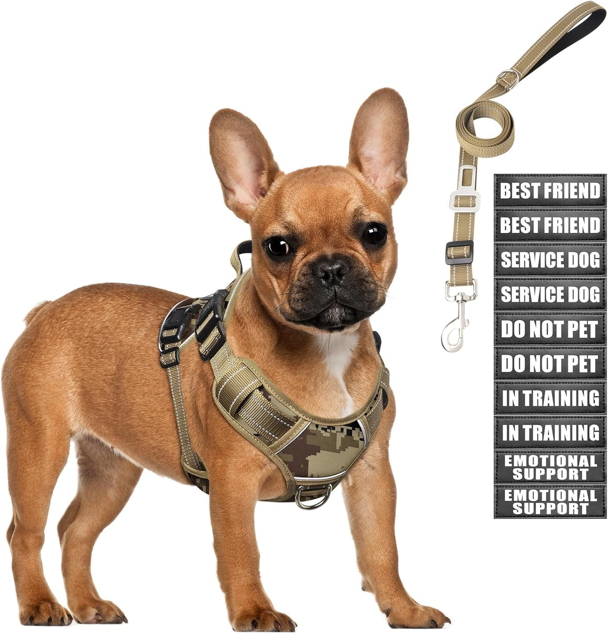 Tactical Dog Harness and Leash Set with 10 Patches for Large Dogs – Essentials for Dogs - Small / Desert Camo