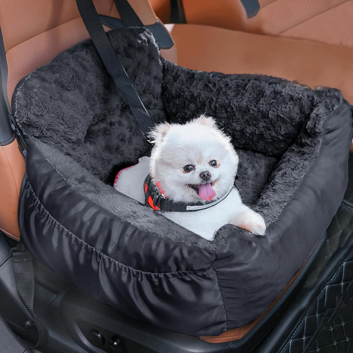 Dog Car Seat for Small Dogs - Black
