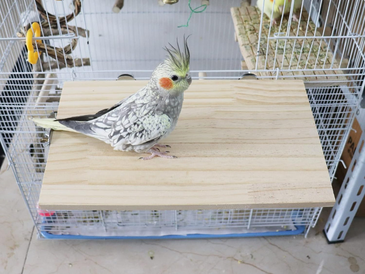 15.7×10.4 Inches Large Bird Perch Stand Platform - 13.6 × 7.9 Inches Natural - image 2