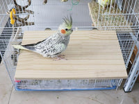 13.6×7.9 Inches Large Bird Perch Stand Platform, Natural Wooden Small Animals Cage Accessories, Rectangle Stand Perch Shelf for Parrot Parakeet Cockatiel Rat Hamster Guinea Pig Conure Chinchillas