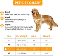 Cat Door for Wall, Energy Efficient Pet Entry Door – Essentials for Cats - Large - image 3