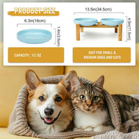 Ceramic Cat Bowls, Shallow Cat Dishes for Food and Water - Sky blue elevated - image 2