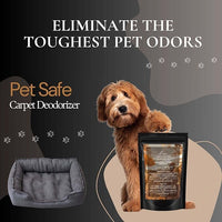 Cardigan Weather Carpet Freshener Powder: Powerful Odor Eliminator for Home, Upholstery Deodorizer, Carpet Deodorizer, Pet Urine, Cat Litter Box - Sweater Weather Fragrance