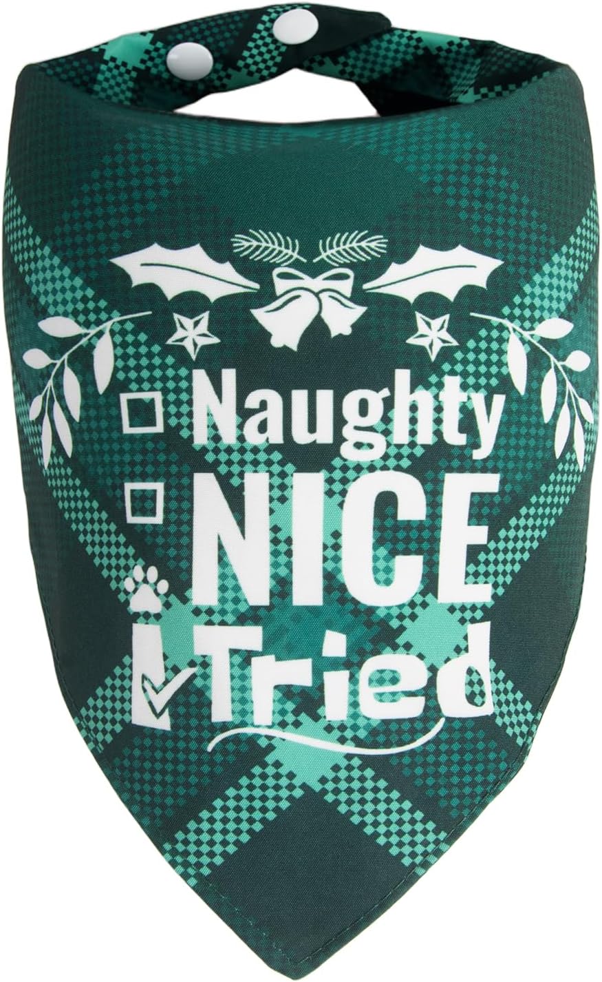 Fall Dog Bandana Artistic Sketch Maple Leaf Golden Orange - Green Plaid - Naughty Nice I Tried / Medium
