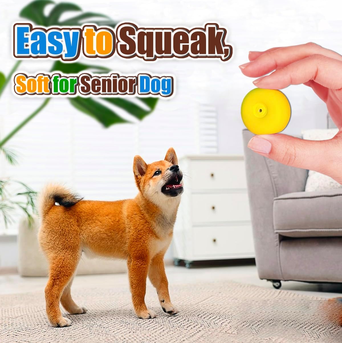 Squeaky Dog Toys for Small Dogs, Mini Breeds - 4 Color For XS/S 2.2" / Small - image 2