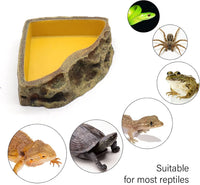 Reptile Feeder Resin Bowl Amphibian Reptile Bowl for Lizard Gecko - image 4