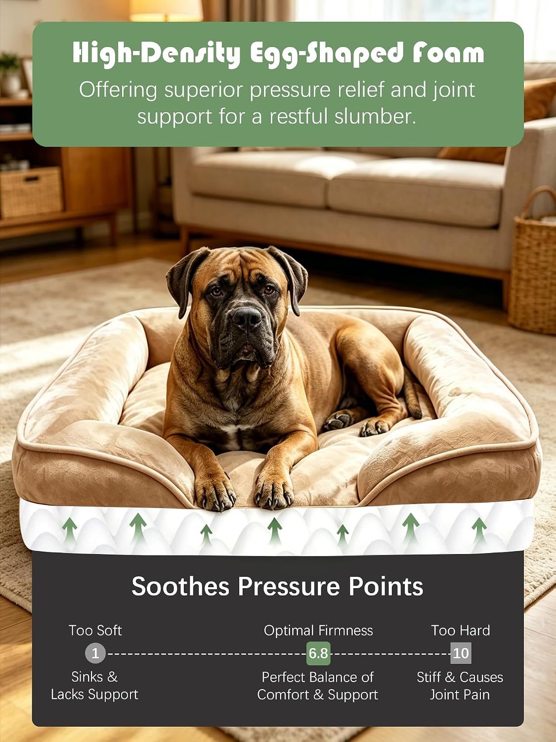 Spotted Play Orthopedic Dog Bed with Sides - Brown / 53.0"L x 42.0"W x 8.0"Th - image 4