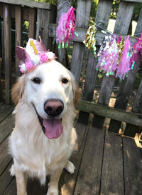 PET SHOW Pink Crown Dog Birthday Party Hat for Girls Reusable - Pink - image 4