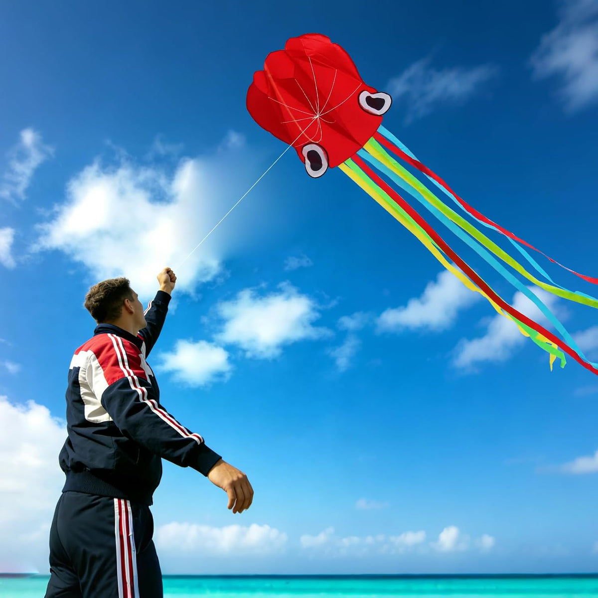 Xida rainbow octopus kite, a frameless ripstop polyester kite with flying line and handle - view 8