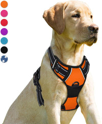 BARKBAY Dog Harness No Pull for Large Dogs Front Back Clips - Medium(Chest:22.5-28") / Orange