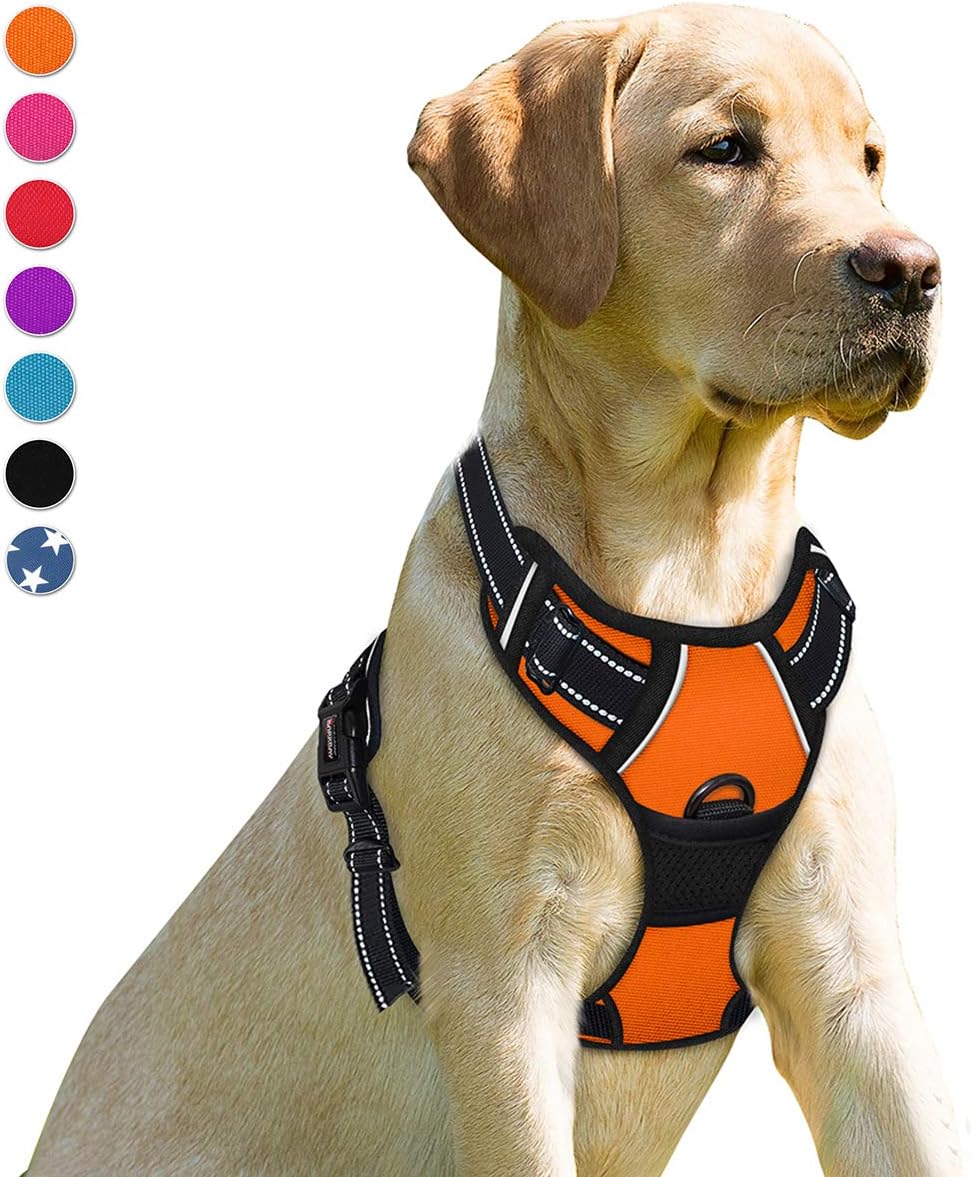 BARKBAY Dog Harness No Pull for Large Dogs Front Back Clips - Medium(Chest:22.5-28") / Orange