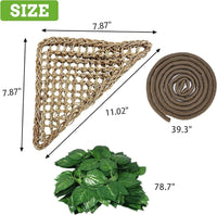 PINVNBY Bearded Dragon Hammock, Bearded Dragon Tank Accessories - 3 PCS - image 2